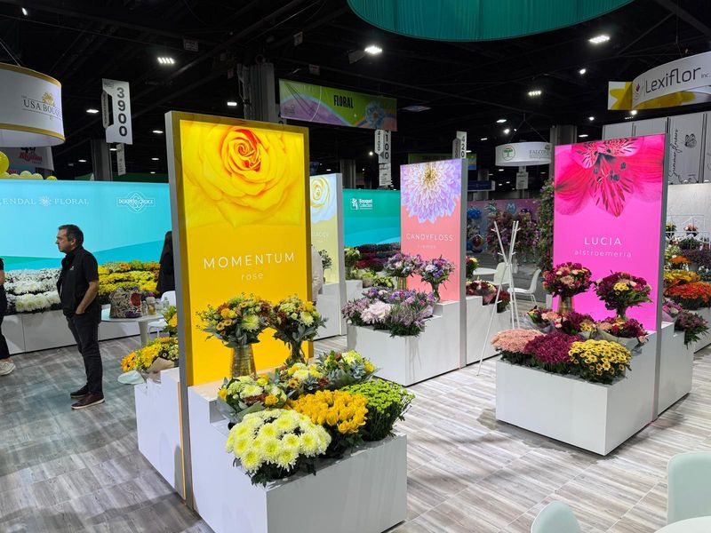 Row of backlit floral graphic display pillars at a trade show, each printed with a flower variety name